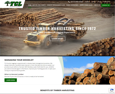 Website Portfolio Tennessee